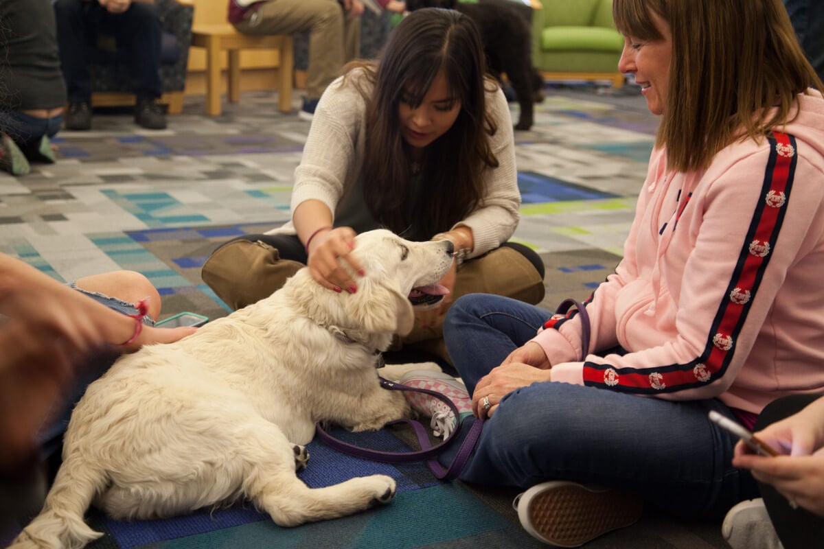 students with a dog